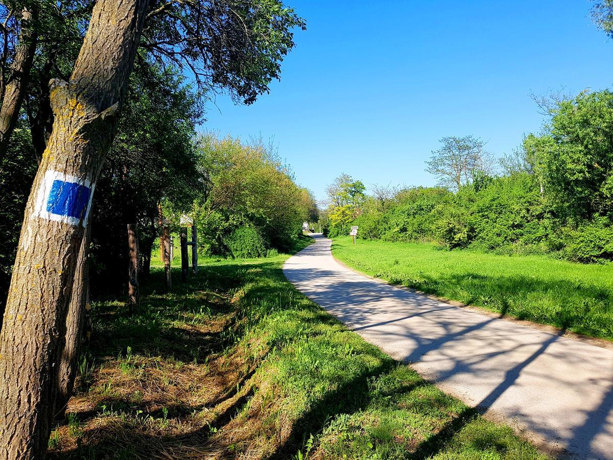 Kúti Vendégház Bakonykuti Extérieur photo